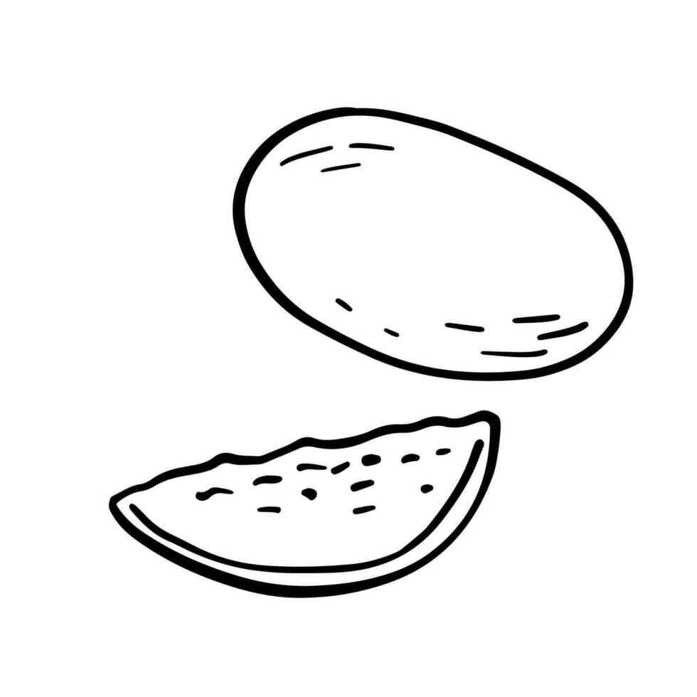 melón negro y blanco garabatear bosquejo, vector ilustración aislado en blanco