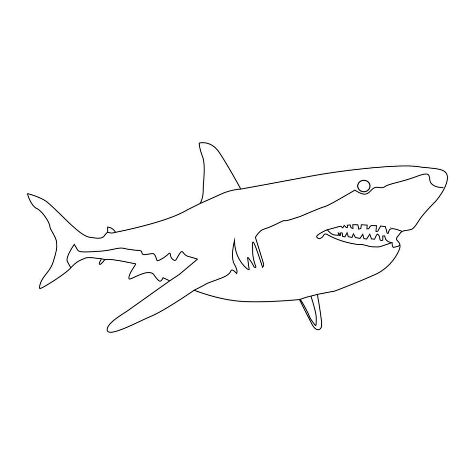 Shark Line art vector Illustration 23907759 Vector Art at Vecteezy