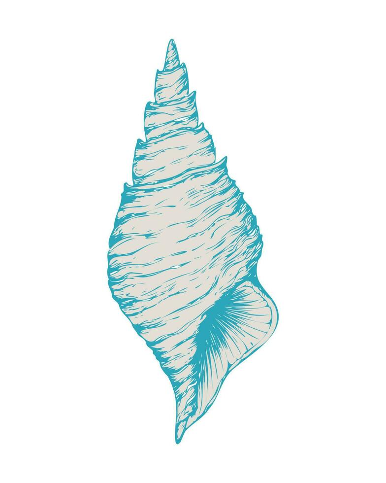 cáscara azul, mar caparazón, Oceano naturaleza agua submarino vector. mano dibujado náutico grabado de náutico huellas dactilares aislado. vector