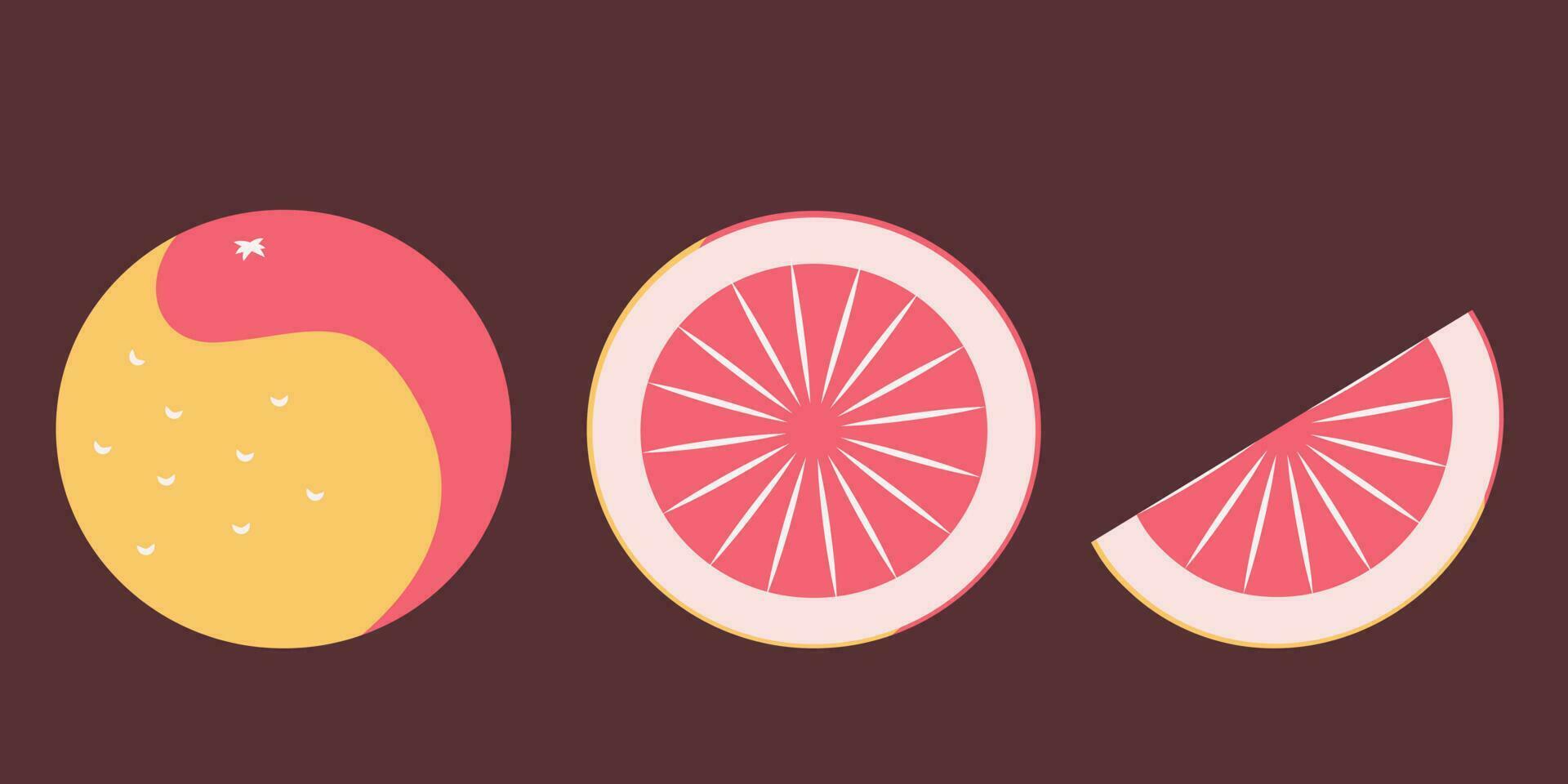 Whole and cut grapefruit. vector