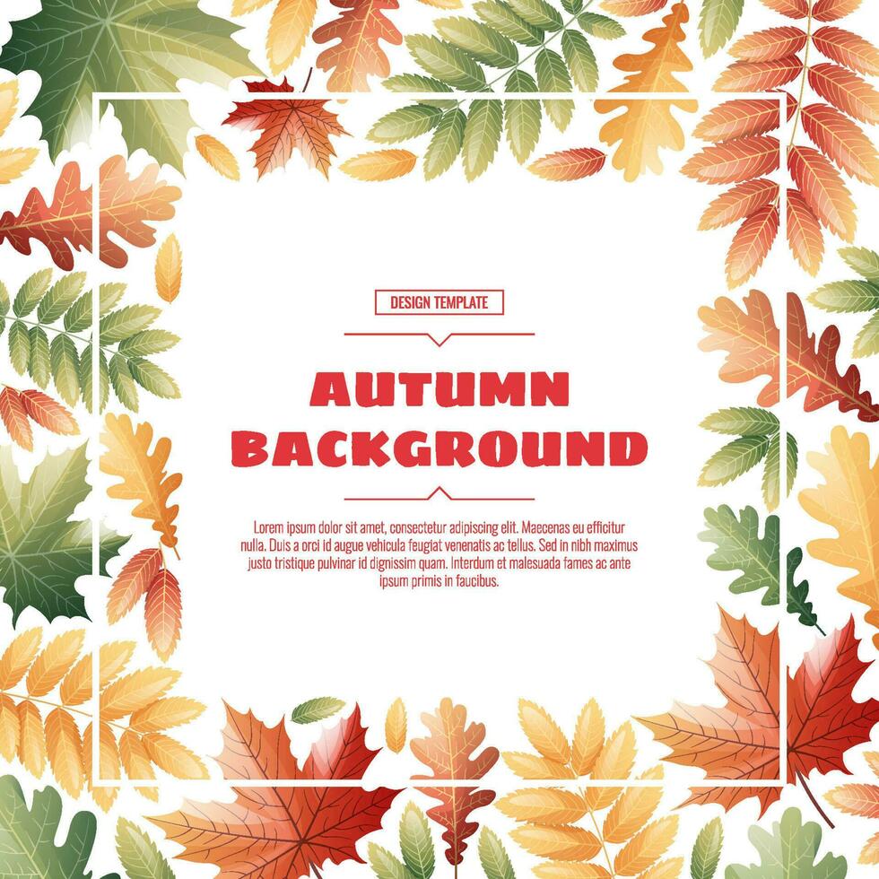 Square frame with autumn leaves of maple, rowan, oak. Autumn background with variegated foliage. Suitable for banners, cards, flyers, etc. vector