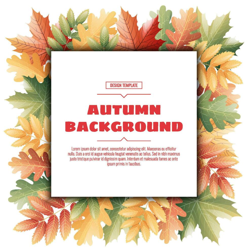 Square frame with autumn leaves of maple, rowan, oak. Autumn background with variegated foliage. Suitable for banners, cards, flyers, etc. vector