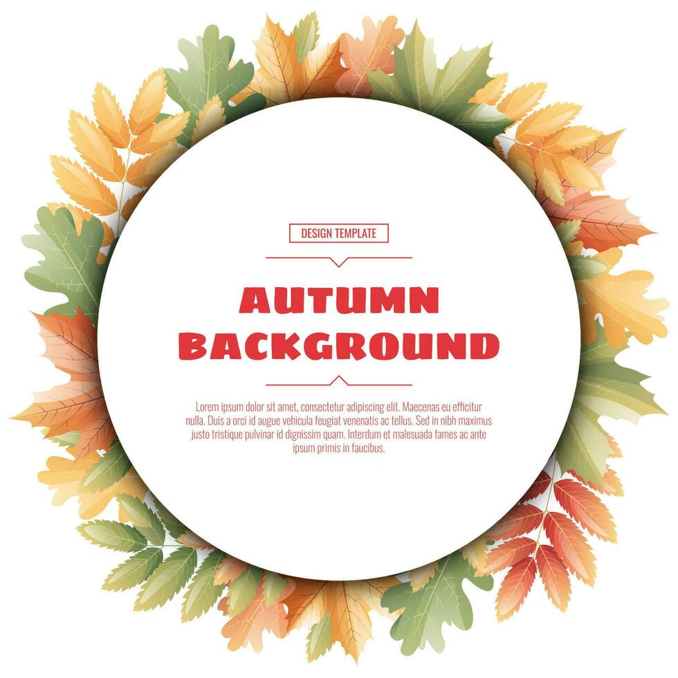 Square frame with autumn leaves of maple, rowan, oak. Autumn background with variegated foliage. Suitable for banners, cards, flyers, etc. vector