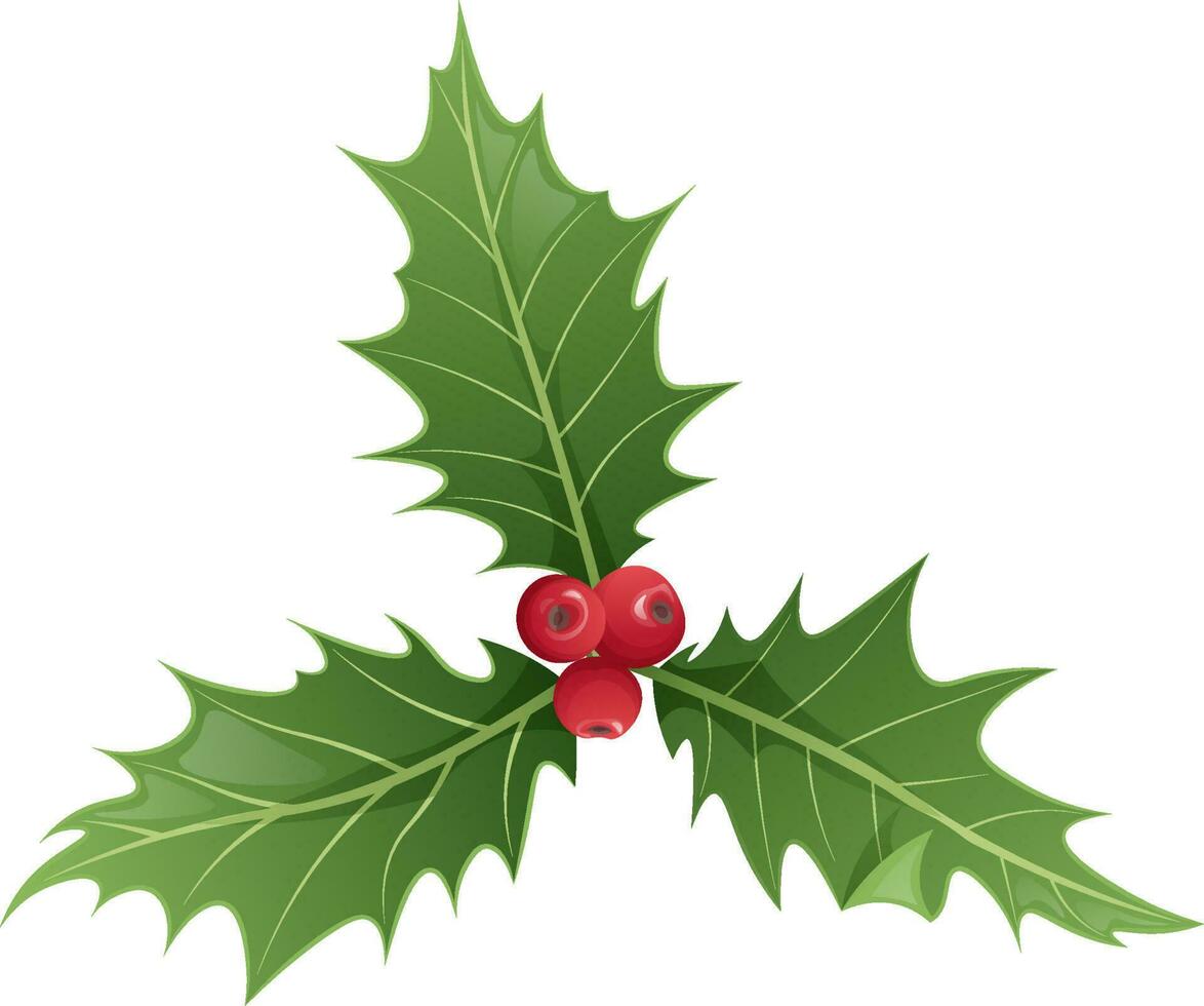 Navidad acebo aislado en blanco antecedentes. Navidad y nuevo año decoración. vector ilustración de planta elementos