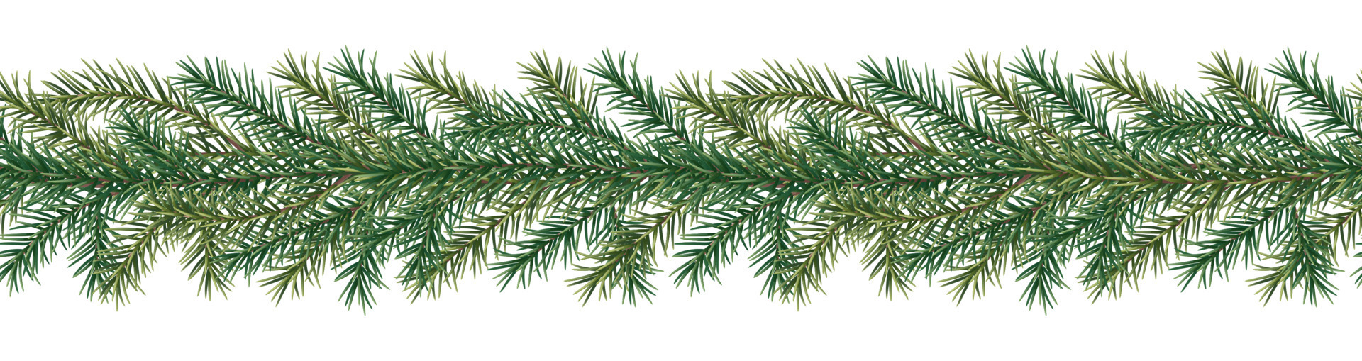 Set of realistic Christmas tree branches of different shapes and