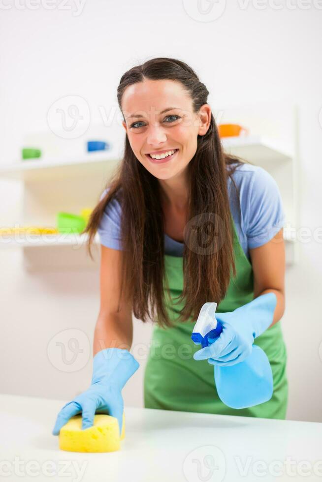 A woman cleaning the house photo