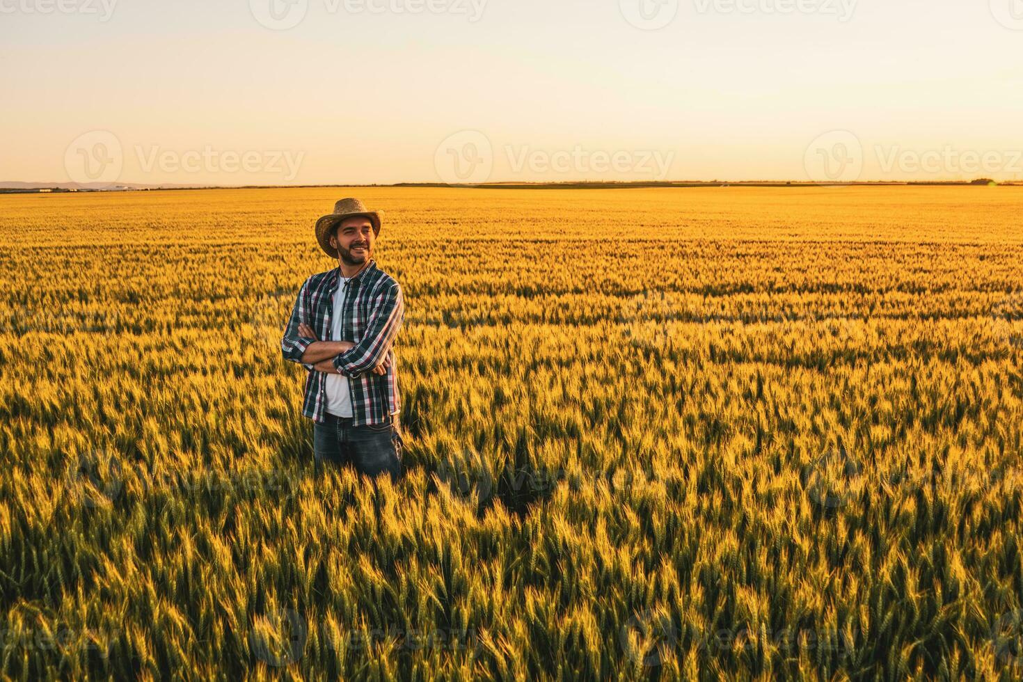 granjero en pie en un trigo campo foto