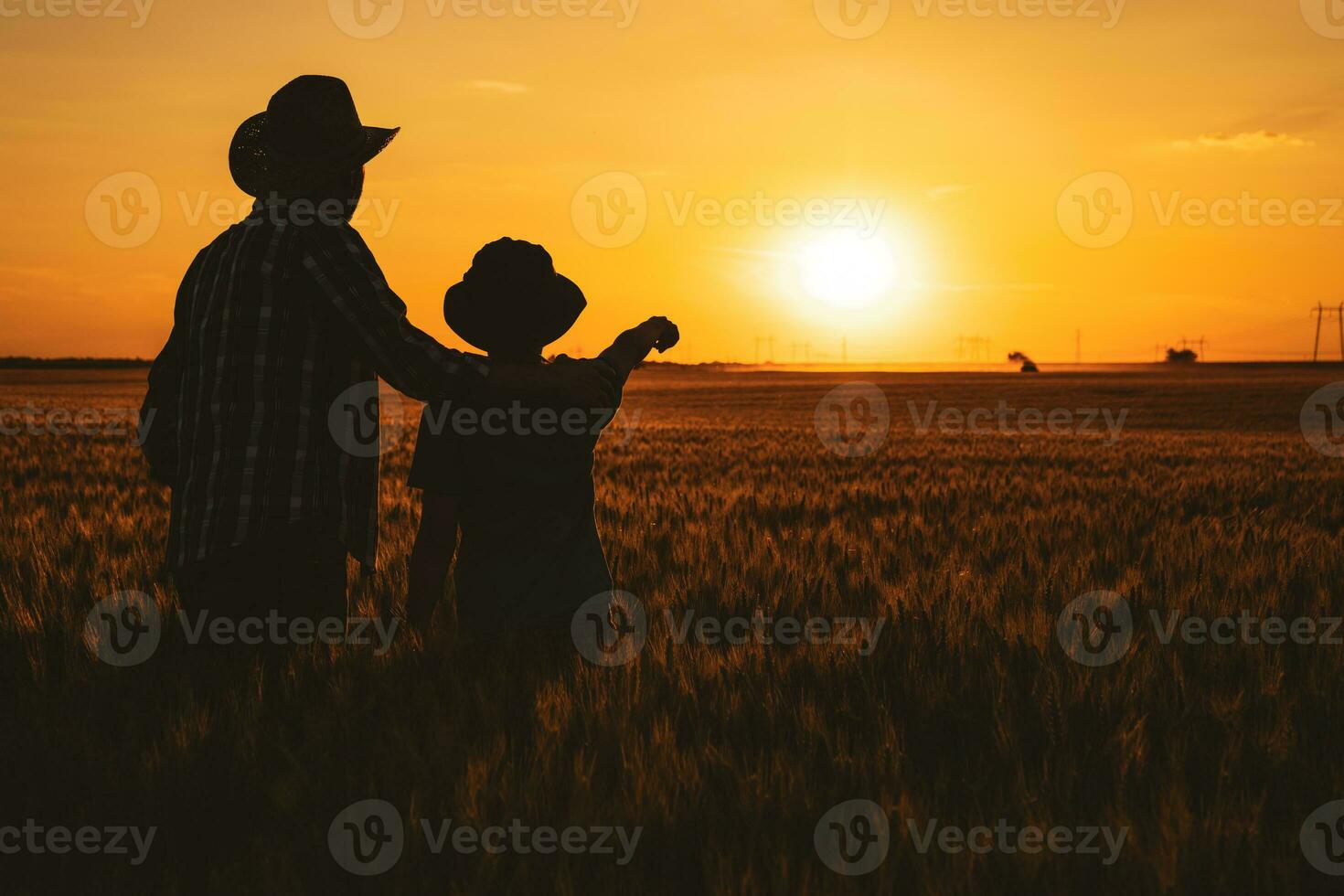 Father and son standing in a wheat field photo