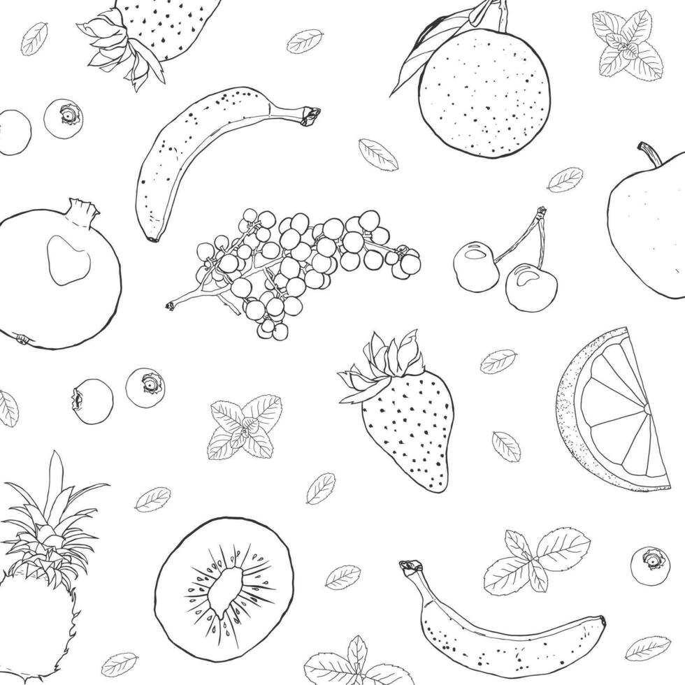 Fruit illustration sketch art square composition vector