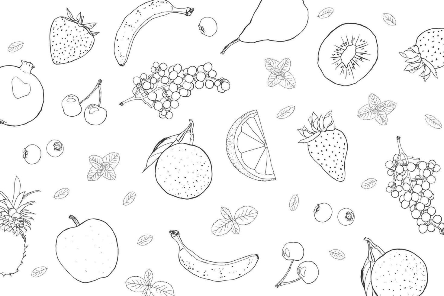 Fruit illustration sketch art black and white background vector