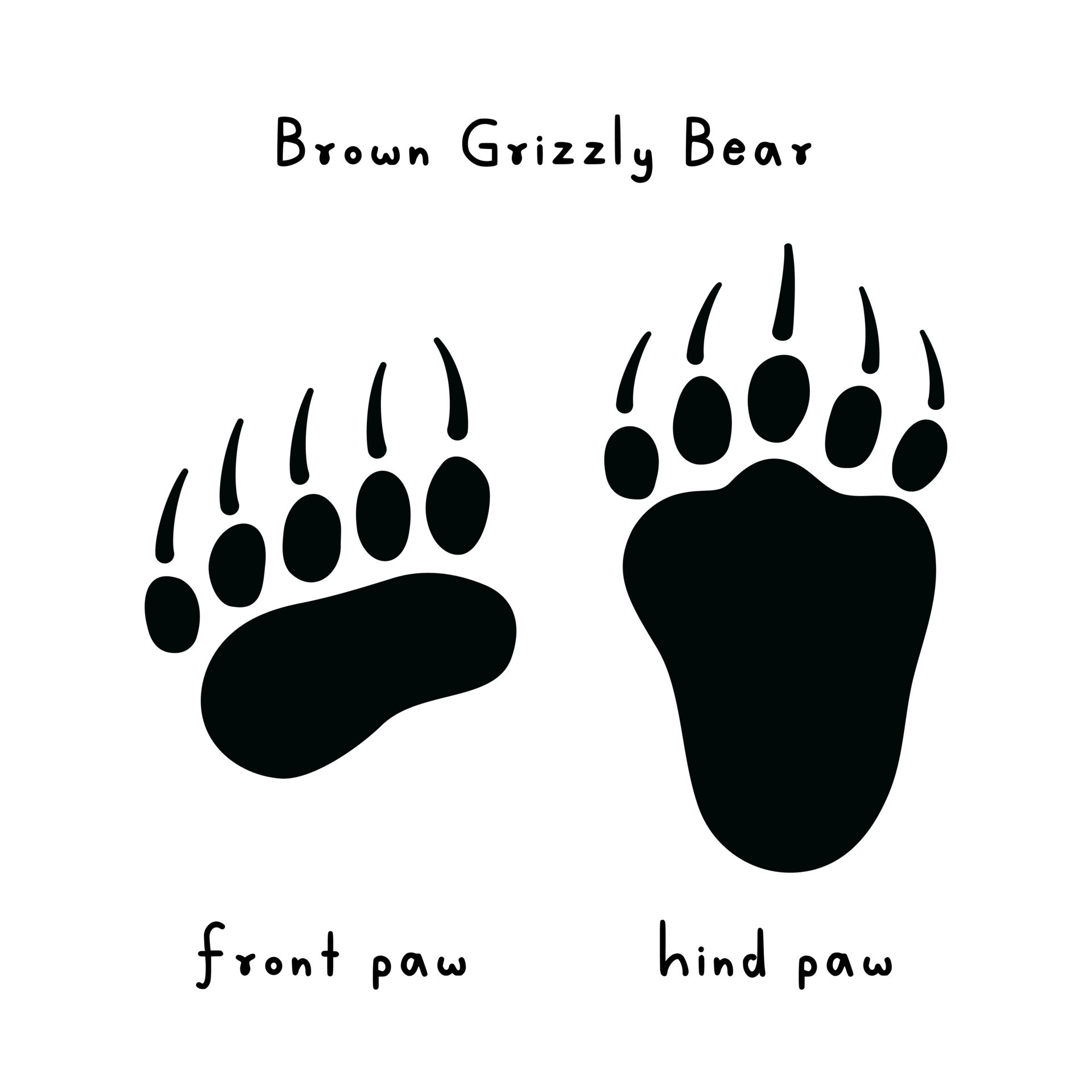 Bear Tracks Coloring Clipart Tattoos Paw Kids Family Animal Clipartkid 