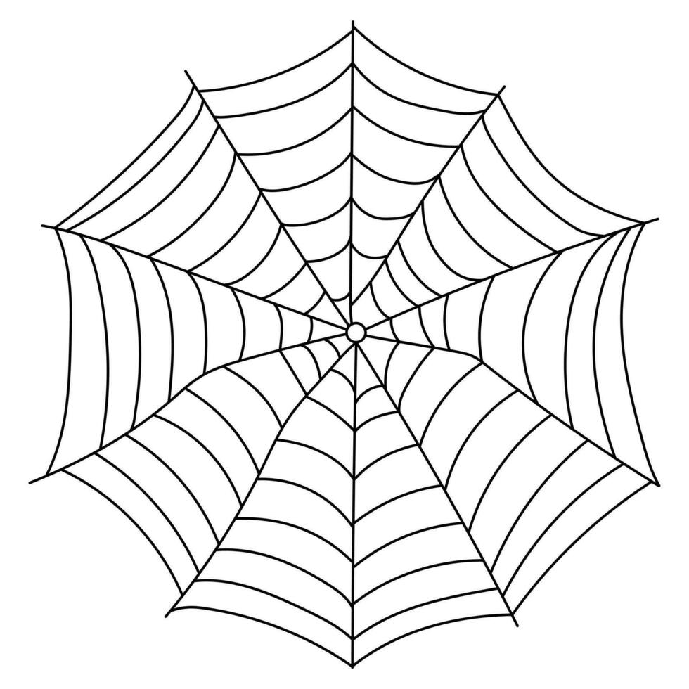 Scary spider web isolated. Spooky Halloween decoration. Outline cobweb illustration vector