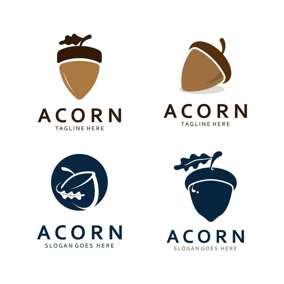 Acorn Logo Template with Leaves vector