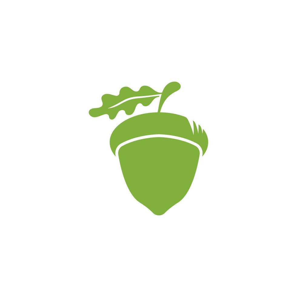 Acorn Logo Template with Leaves vector