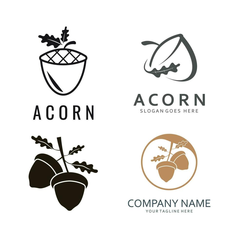 Acorn Logo Template with Leaves vector