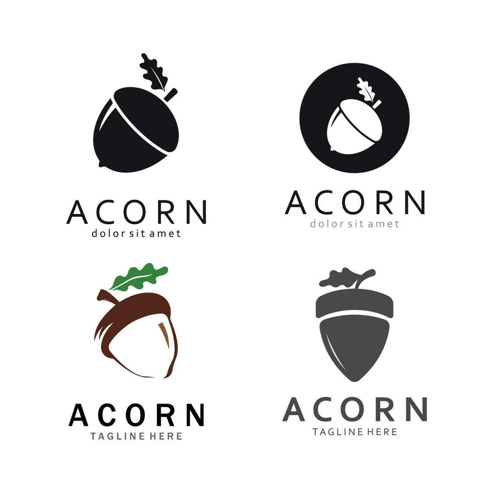 Acorn Logo Template with Leaves vector