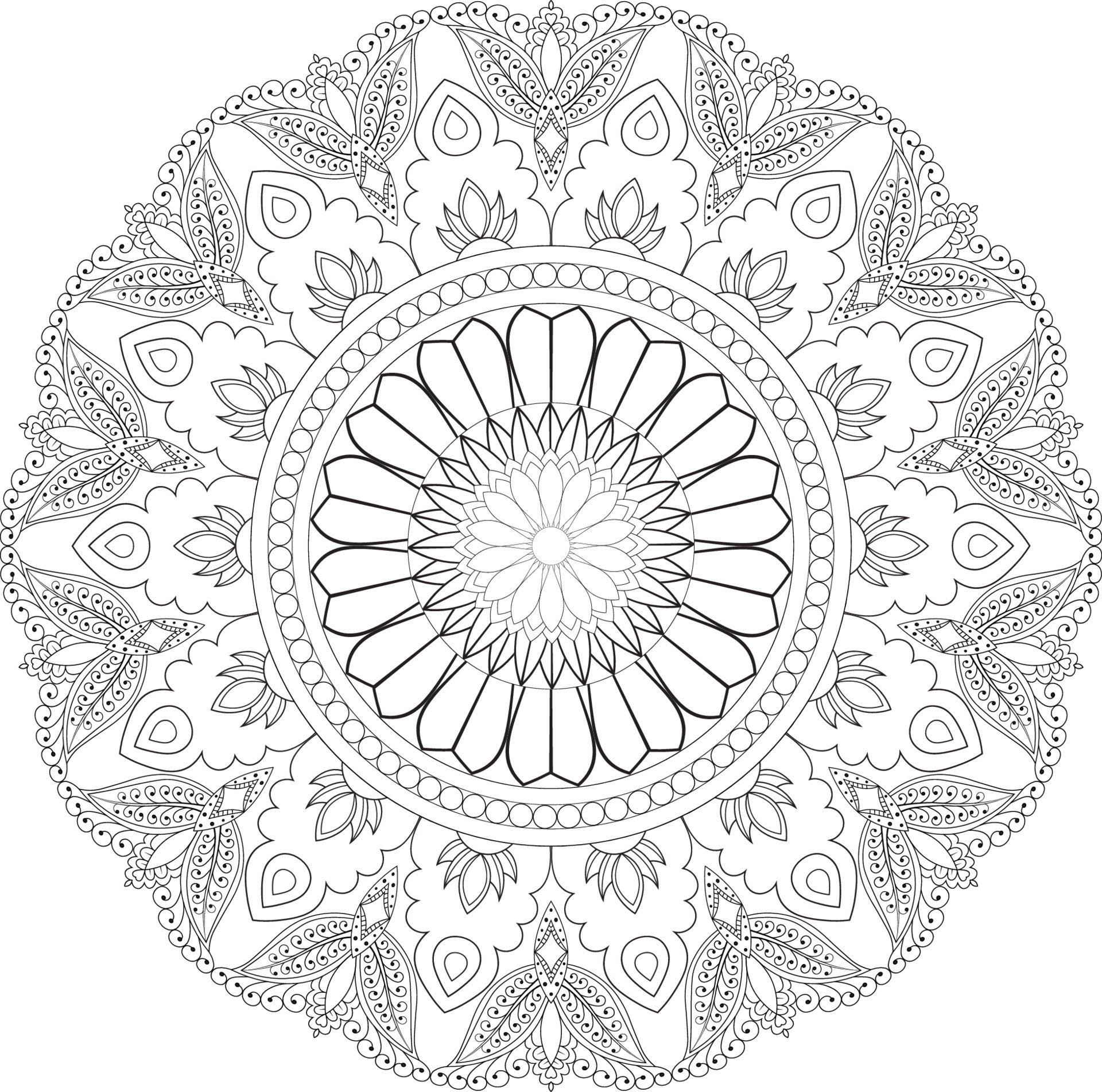 vector-drawing-for-coloring-book-geometric-floral-pattern-contour