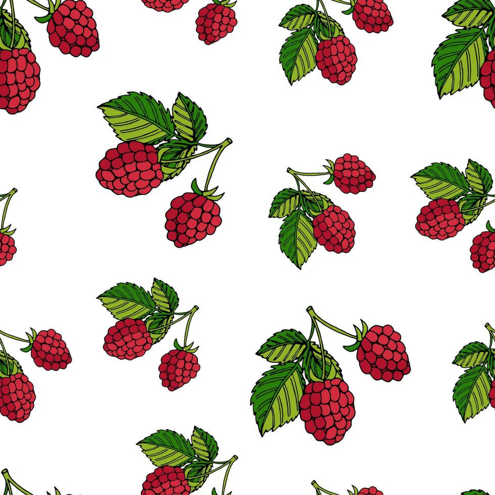 vector illustration of a seamless pattern raspberries with leaves on a white background