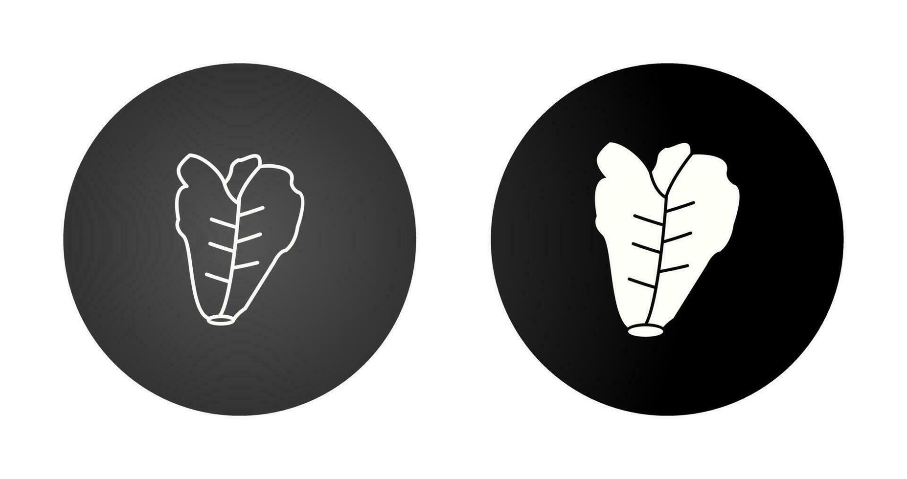 Lettuce Vector Icon