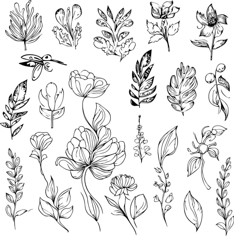 Botanical elements, Wildflowers, on the doodle art, coloring page vector sketch hand-drawn illustrations, and beautiful monocrom botanicalelement.