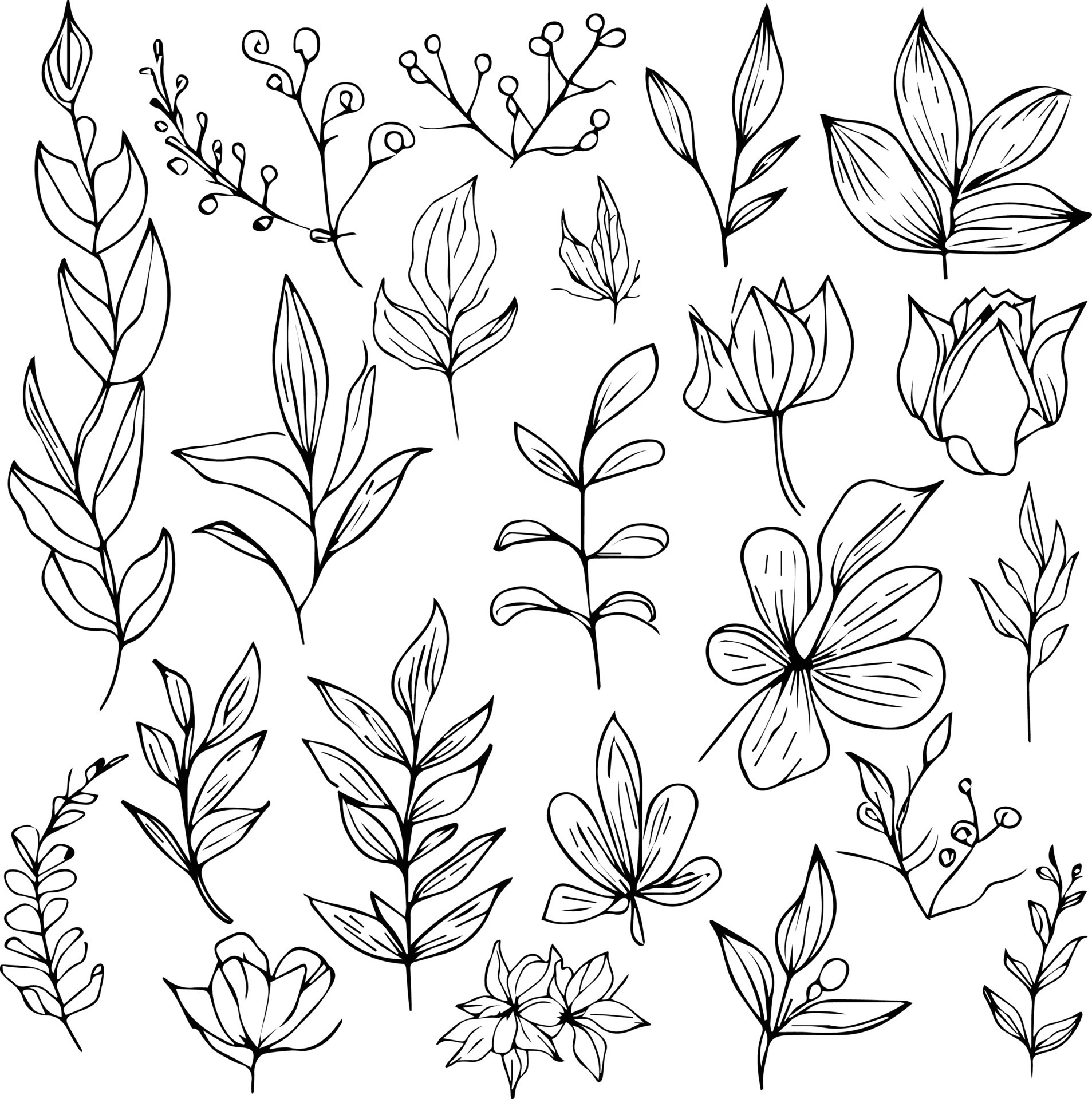 Symmetrymonochrome Photographypetal  Drawing Cool Leaf Design HD Png  Download  Transparent Png Image  PNGitem