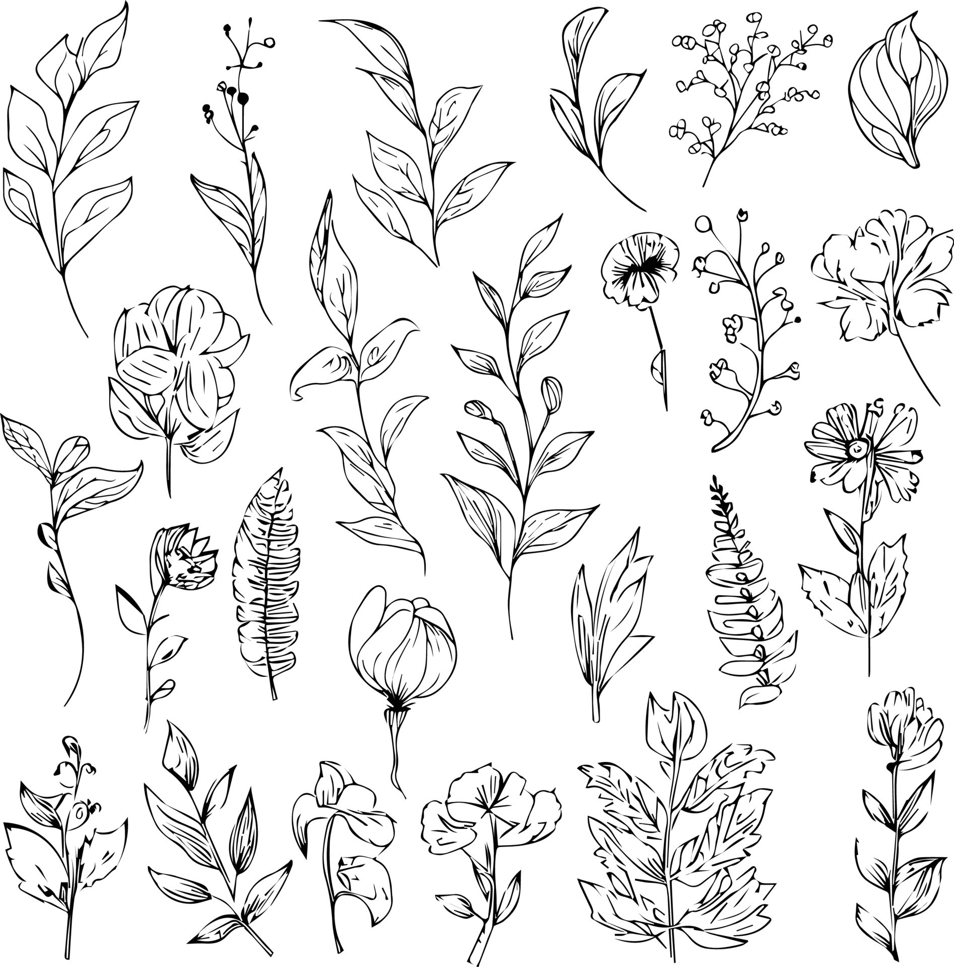 botanical illustration tattoo