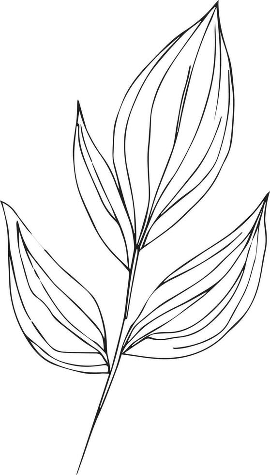 Botanical artwork decor, vector set of botanical leaf simple outline sketch doodle hand drawn illustration, botanical drawings of flowers, botanical drawings of wildflowers, botanical drawings.