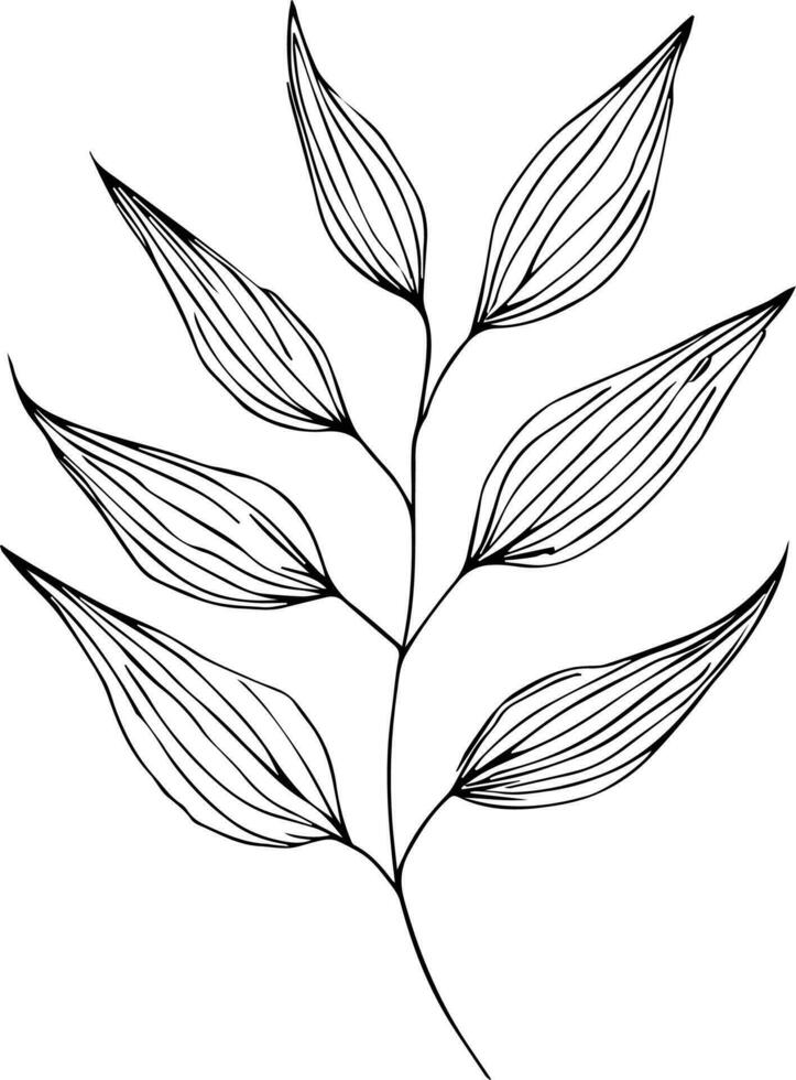 Set of vector hand-drawn botanical leaf, botanical line drawing,  wildflower botanical line art, leaf's vector art, Pencil realistic wild flower drawing, ink sketch isolated on white background,