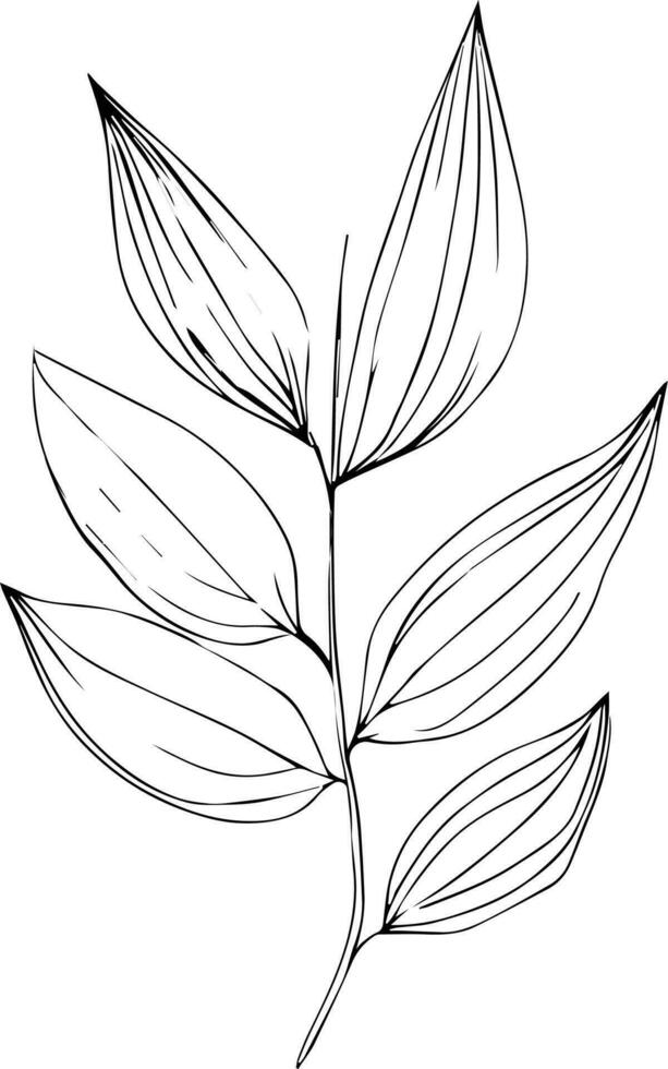 hand drawn botanical spring elements line art, botanical illustration botanical line drawing, vector sketch artistic simplicity botanical doodle art, Easy botanical drawing,  botanicl illustration