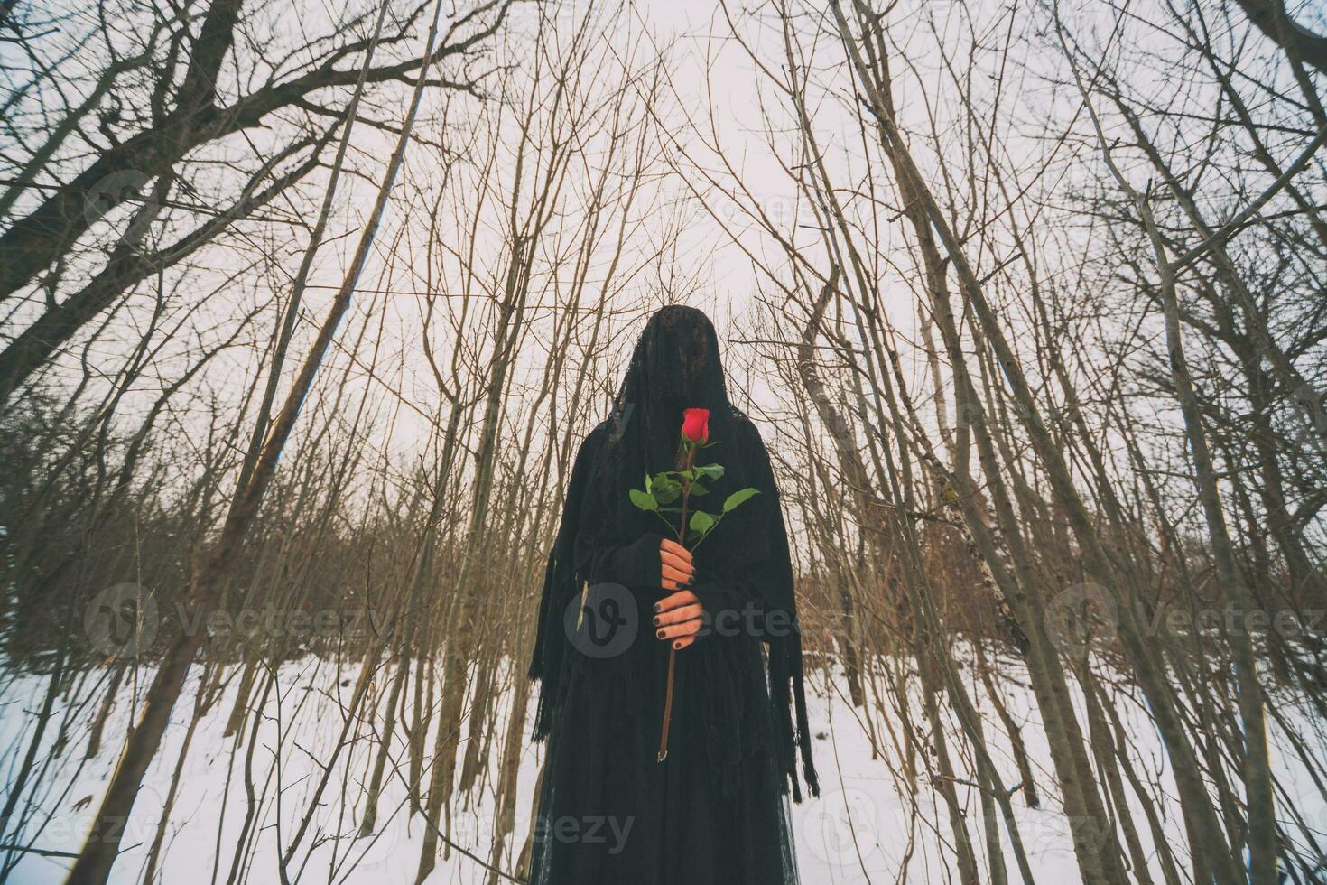 Woman with a red rose on the forest on winter time photo