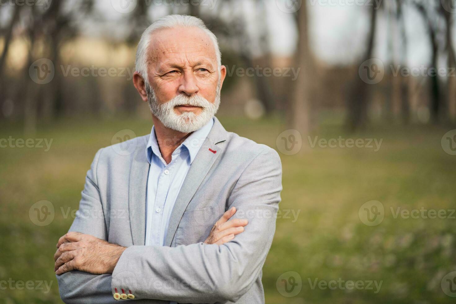 Portrait of a senior businessman photo