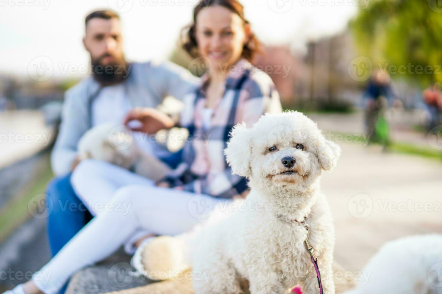 An adult couple is enjoying a sunny day with their dog photo