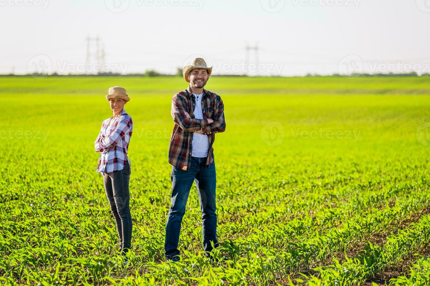 Man and woman are working together in partnership photo