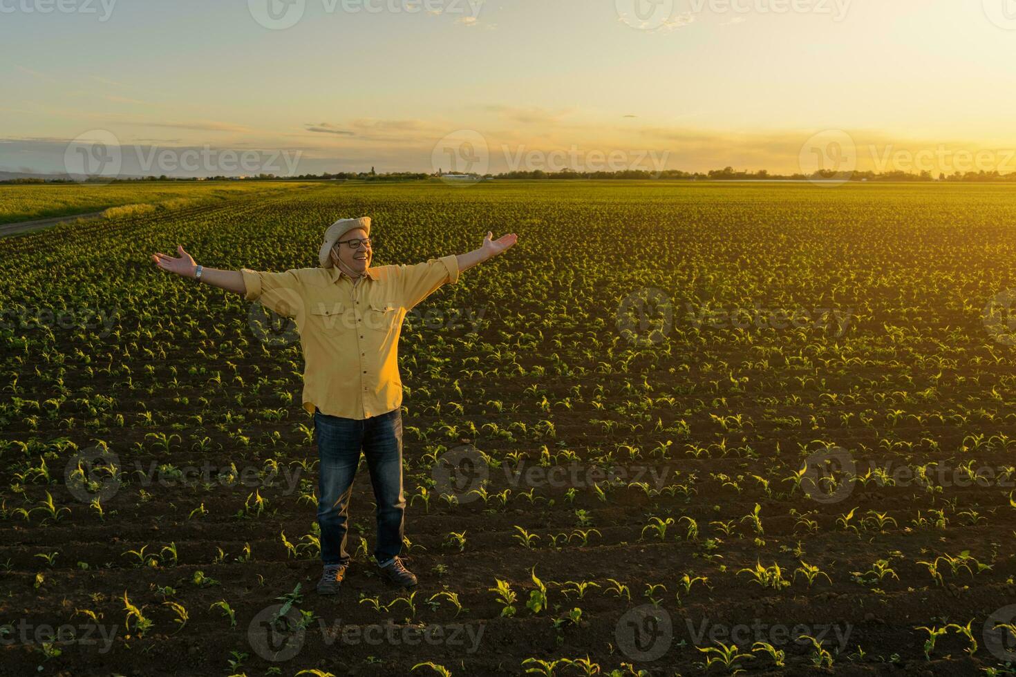 Farmer standing in a corn field photo