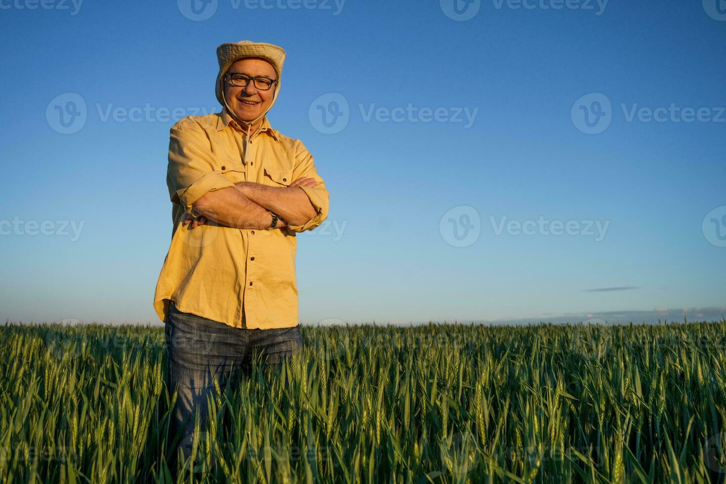 Farmer standing in a wheat field photo