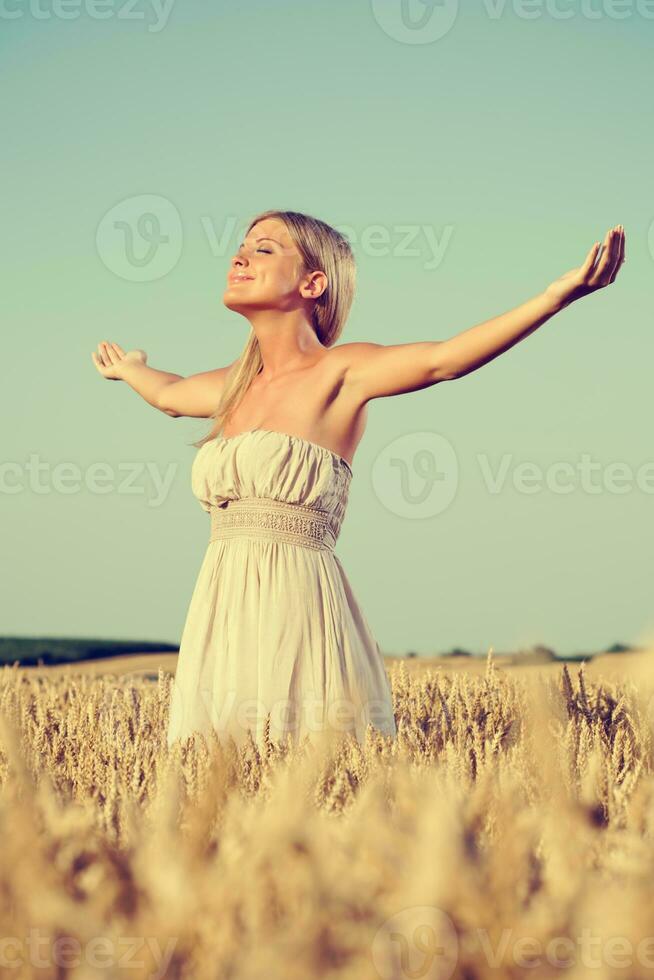 A woman in a wheat field photo