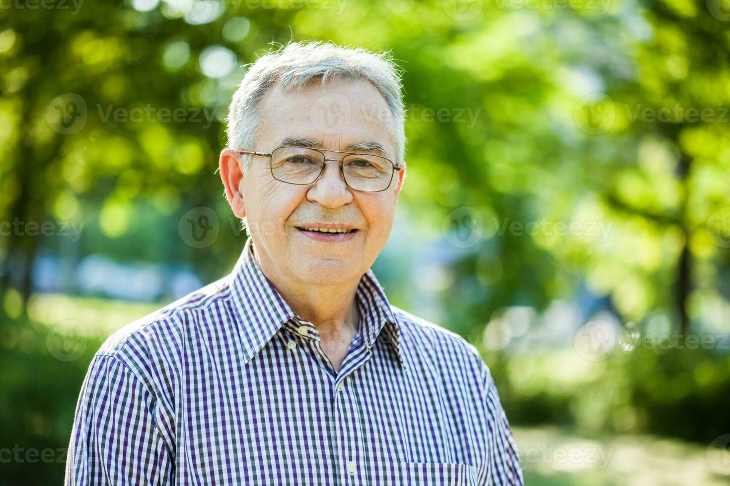 Portrait of a senior man on the park photo