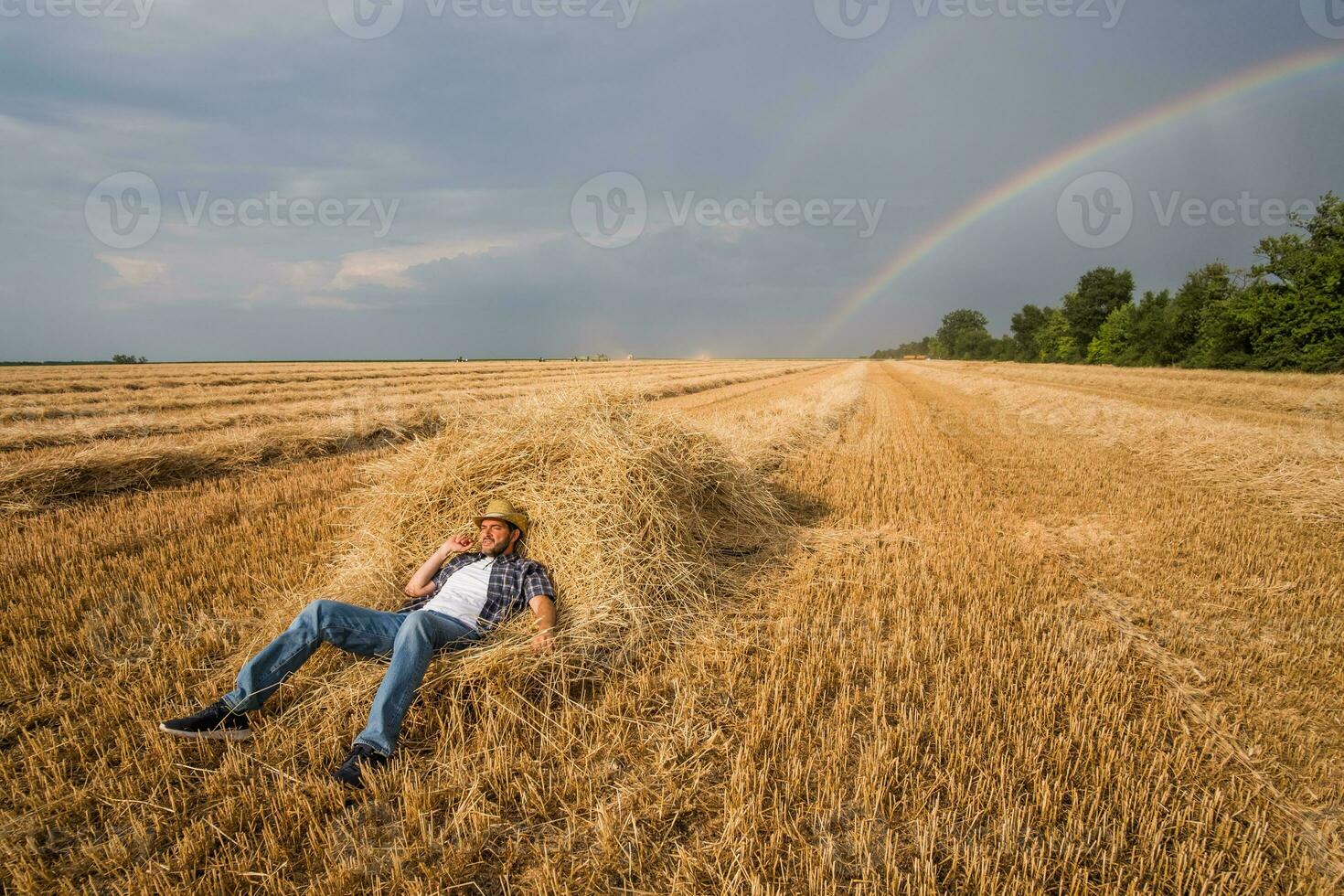 A farmer standing in a wheat field after a successful harvest photo