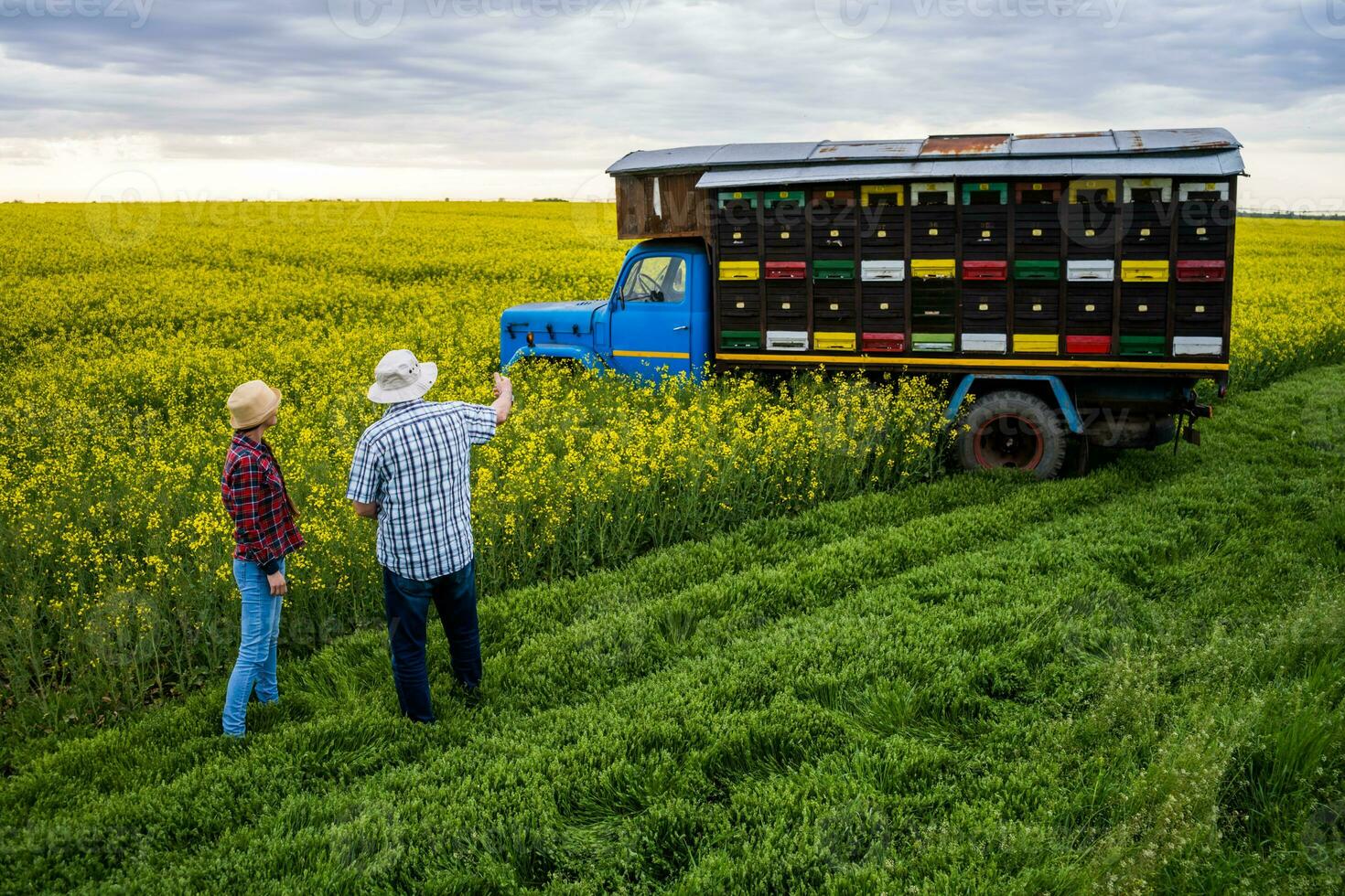 apicultores en pie en frente de el camión con colmenas foto