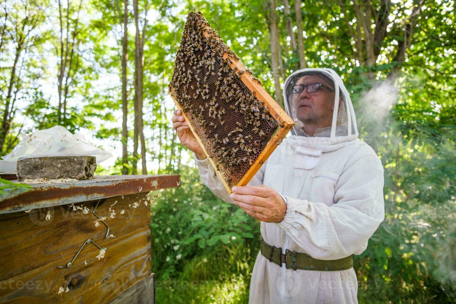 apicultor es examinando su colmenas foto