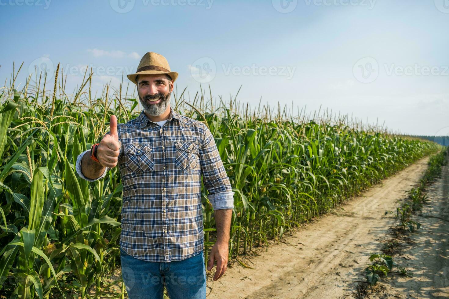 Proud farmer is standing in his growing corn field photo