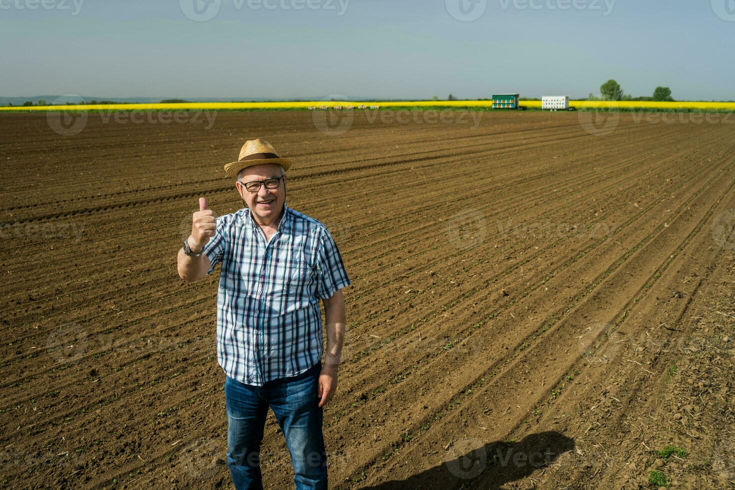 A senior farmer standing in his own corn field photo