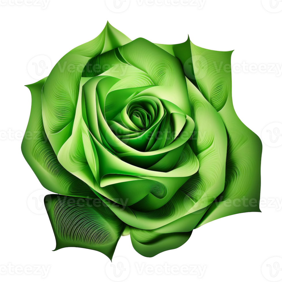 Green rose watercolor illustration, png