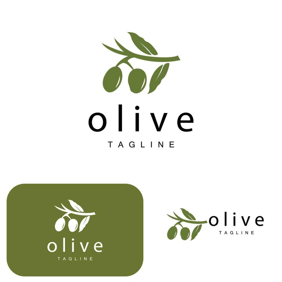 Olive Logo, Olive Oil Plant Vector, Natural Herbal Health Medicine Design, Illustration Template Icon vector