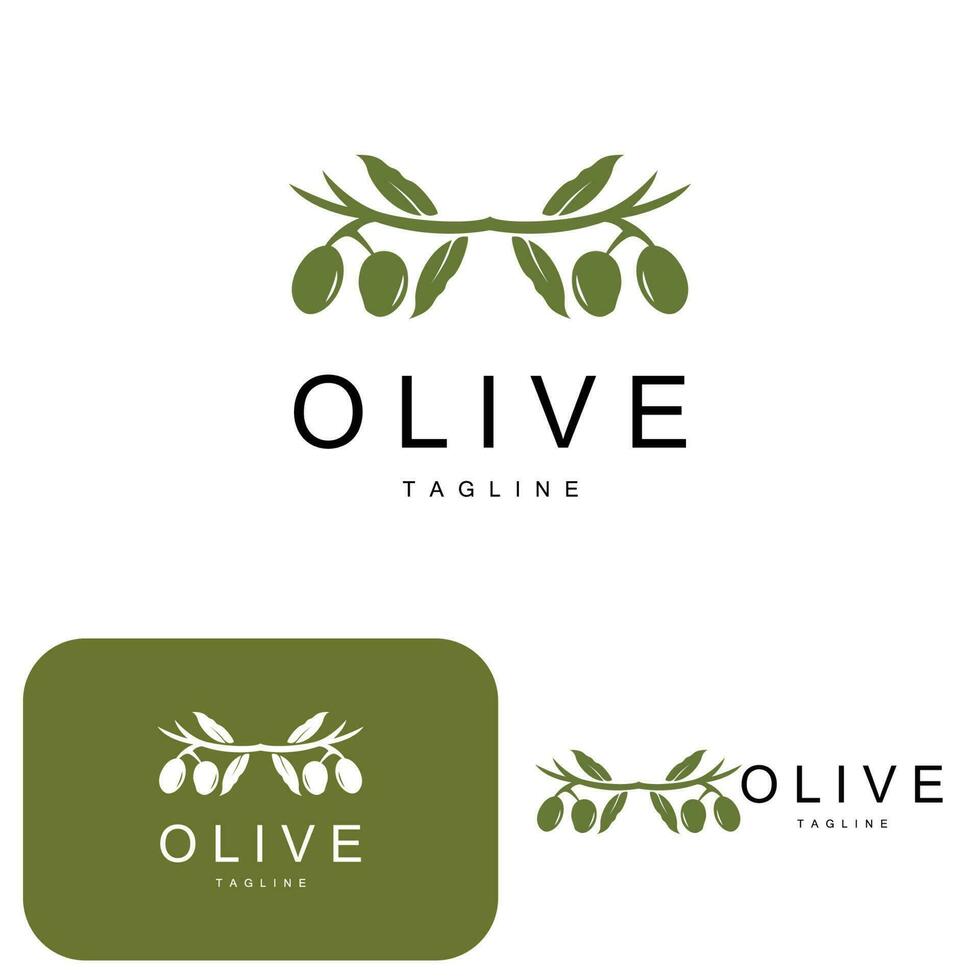 Olive Logo, Olive Oil Plant Vector, Natural Herbal Health Medicine Design, Illustration Template Icon vector