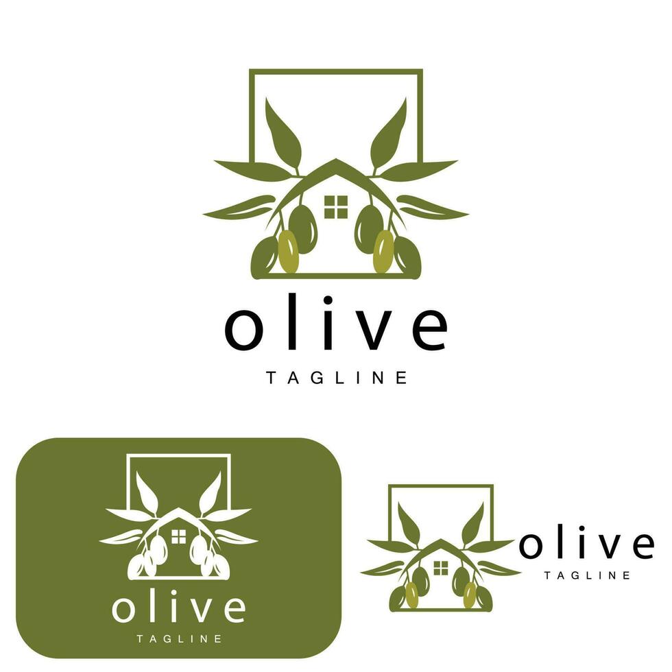 Olive Logo, Olive Oil Plant Vector, Natural Herbal Health Medicine Design, Illustration Template Icon vector