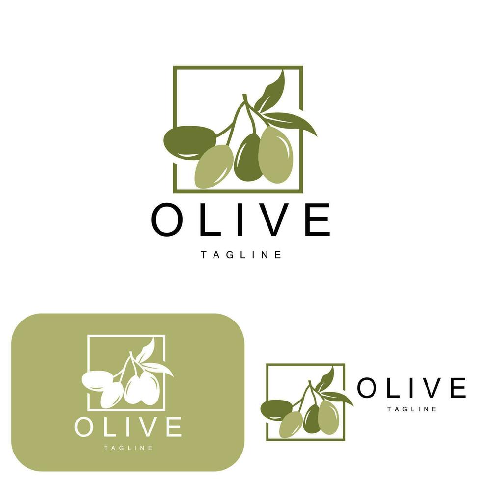 Olive Logo, Olive Oil Plant Vector, Natural Herbal Health Medicine Design, Illustration Template Icon vector