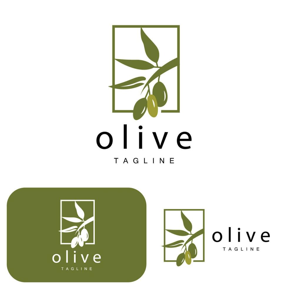 Olive Logo, Olive Oil Plant Vector, Natural Herbal Health Medicine Design, Illustration Template Icon vector