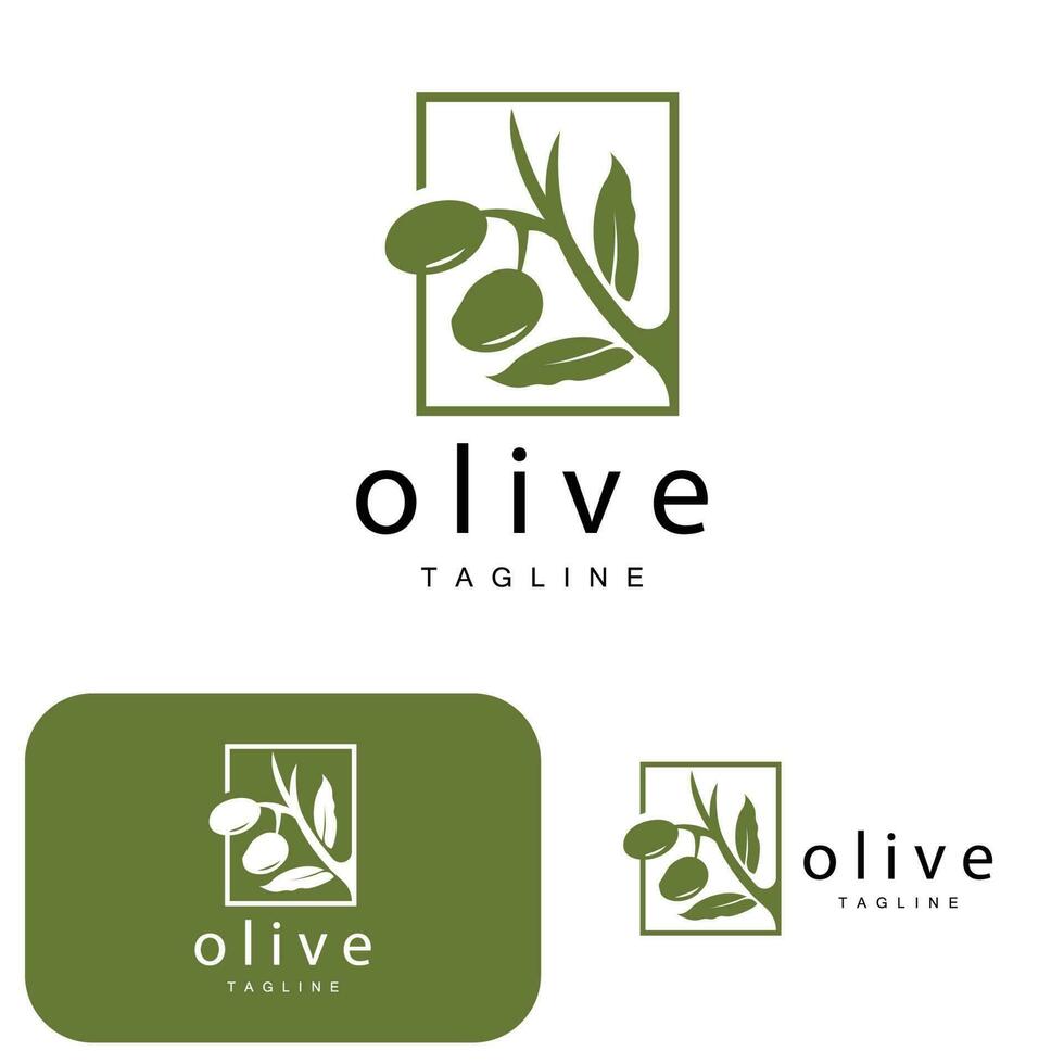 Olive Logo, Olive Oil Plant Vector, Natural Herbal Health Medicine Design, Illustration Template Icon vector