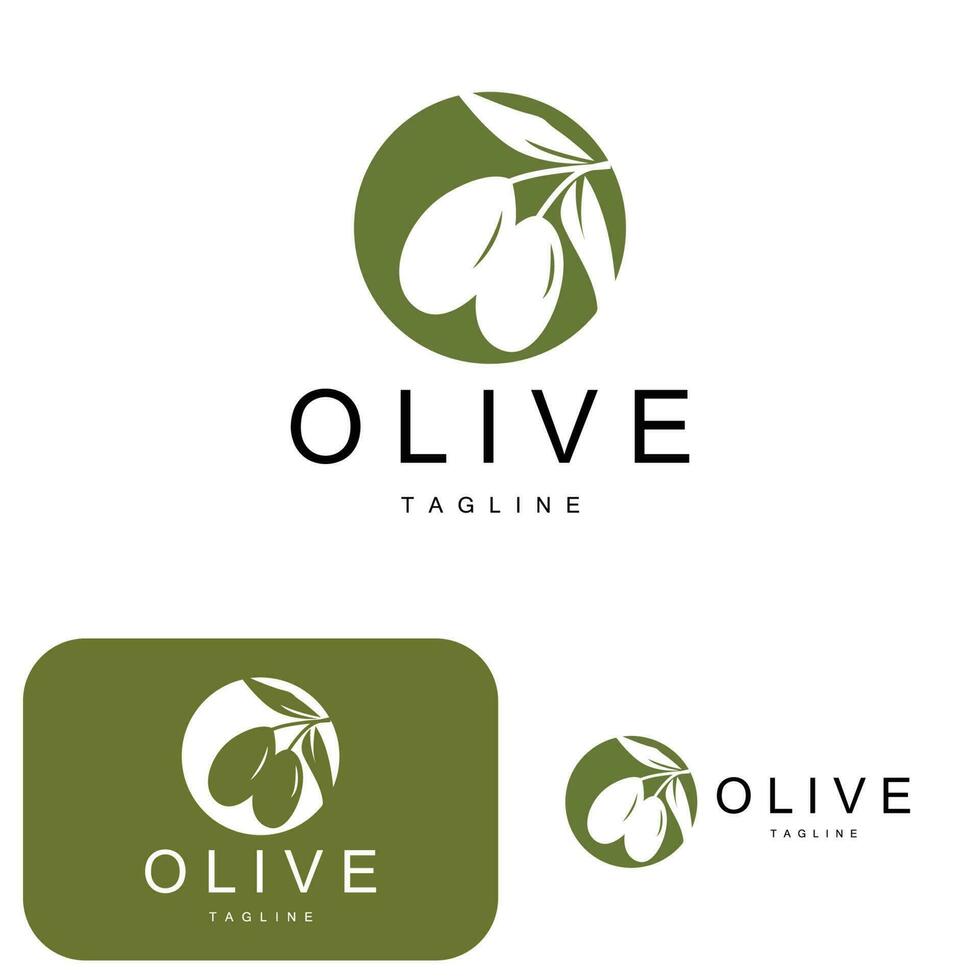 Olive Logo, Olive Oil Plant Vector, Natural Herbal Health Medicine Design, Illustration Template Icon vector